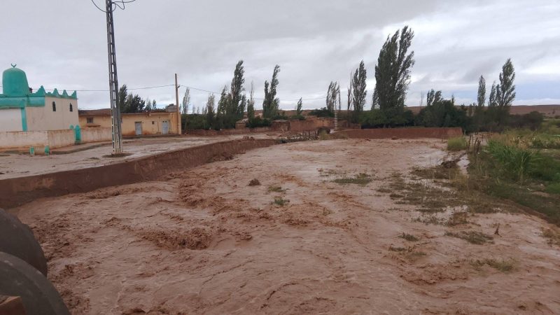 سيول تضرب المغرب والجزائر.. وتقارير عن قتلى ومفقودين