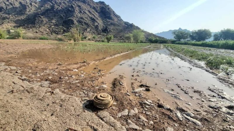 انتزاع أكثر من 1500 لغم ومادة متفجرة خلال أسبوعين