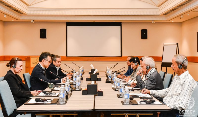 مكتب غروندبرغ يلتقي الحزب الناصري لبحث جهود السلام في اليمن
