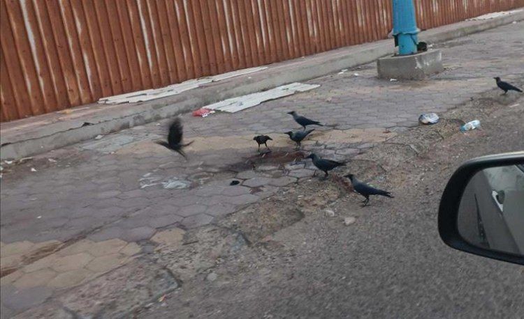 العثور على جثة مجهولة داخل باص فوكسي في عدن