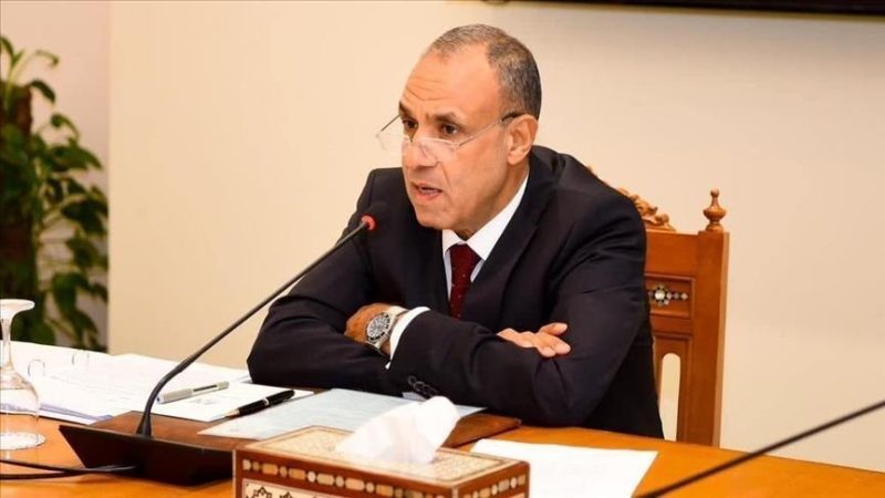 وزير الخارجية المصري يدعو لانسحاب إسرائيلي فوري من معبر رفح ويؤكد ضرورة دعم غزة إنسانياً
