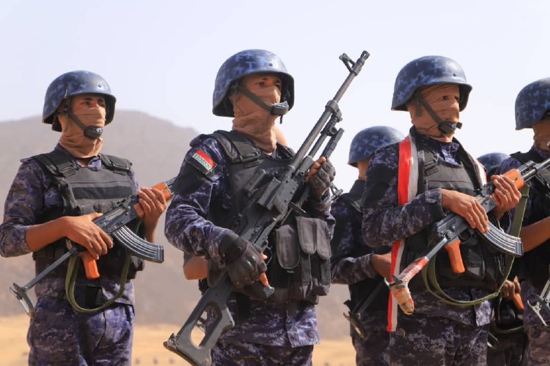 تسجيل 25 جريمة خلال يوم واحد في مناطق الشرعية