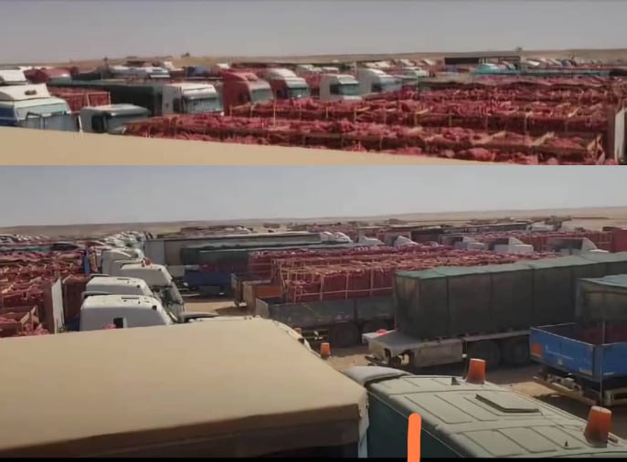 تكدس أطنان من البصل على الحدود اليمنية السعودية ومناشدات للحكومة بالتدخل