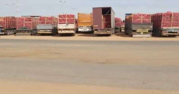 مجددا.. السعودية تمنع دخول “البصل اليمني” إلى المملكة وتكبد المزارعين خسائر فادحة