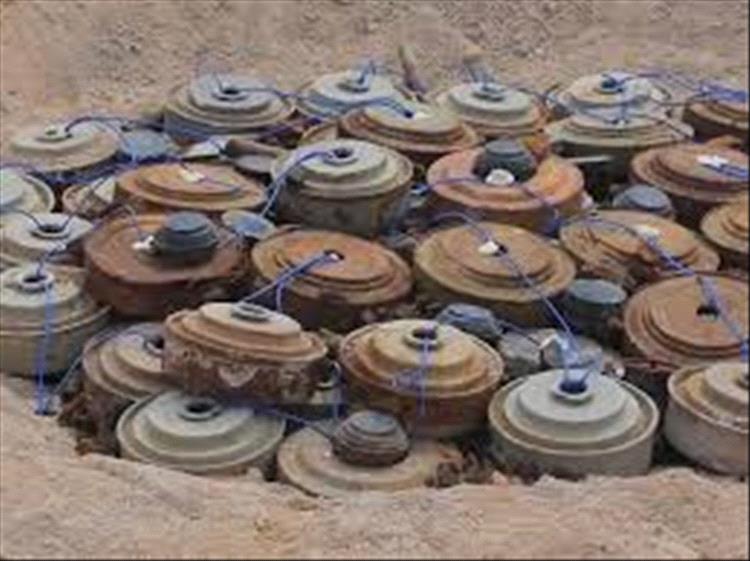 إتلاف أكثر من 1,200 مادة متفجرة في محافظة أبين
