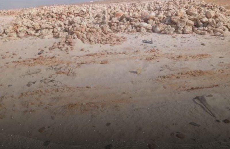 الإمارات تواصل نهب ثروات سقطرى وسط صمت المجلس الرئاسي