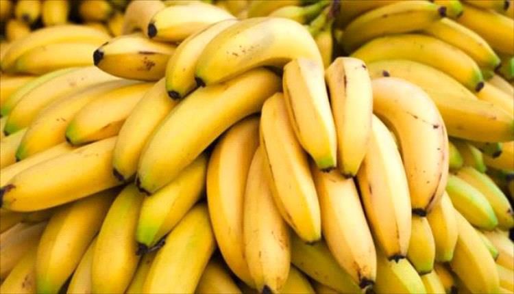سوريا تعاود استيراد الموز اليمني بعد سنوات طويلة بسبب الحرب