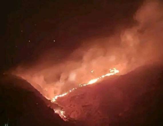 CREATOR: gd-jpeg v1.0 (using IJG JPEG v80), quality = 60?