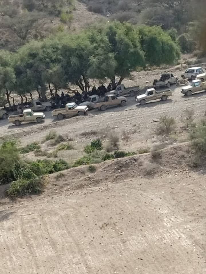 أولياء دماء ضحايا قبيلة المحاولة يطالبون بالعدالة ويسعون إلى القصاص العادل. 