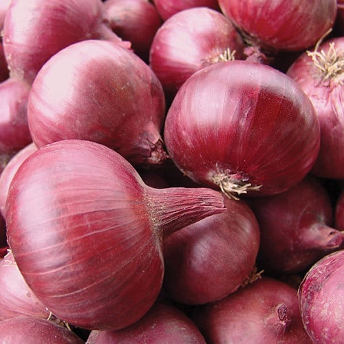 المخا: البصل اليمني يبحر نحو الخليج والعالم العربي!