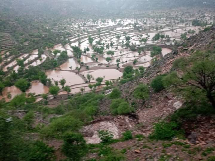 الأرصاد.. يتوقع أمطار رعدية على المرتفعات وجوء معتدل على المناطق الساحلية 