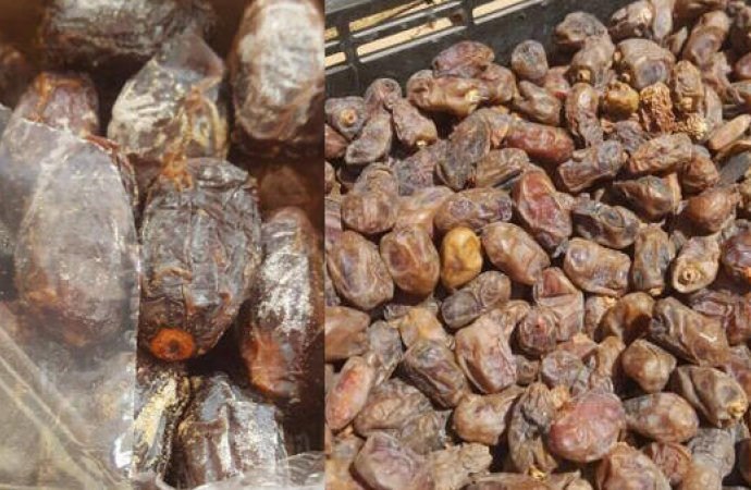 لحج ..عناصر تابعة للانتقالي توزع تمورًا تالفة في محاولة لتحسين صورتها