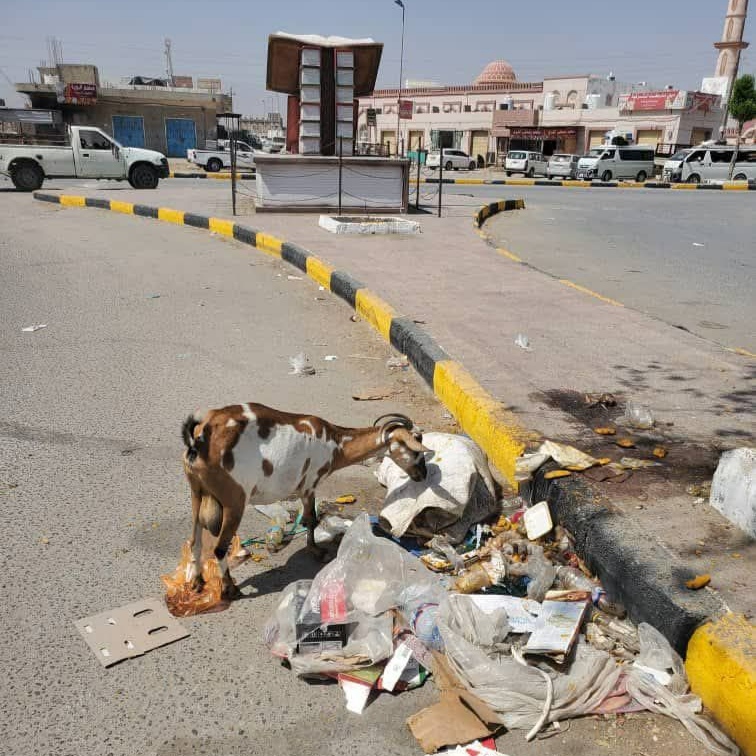 حضرموت: إضراب شامل لعمال النظافة بالريدة وقصيعر احتجاجًا على تدني الأجور والقمامة تغرق الشوارع