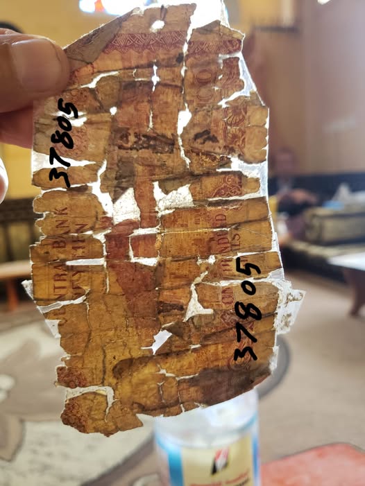 صنعاء.. البنك المركزي يتلف 13 مليار ريال من العملة المتهالكة