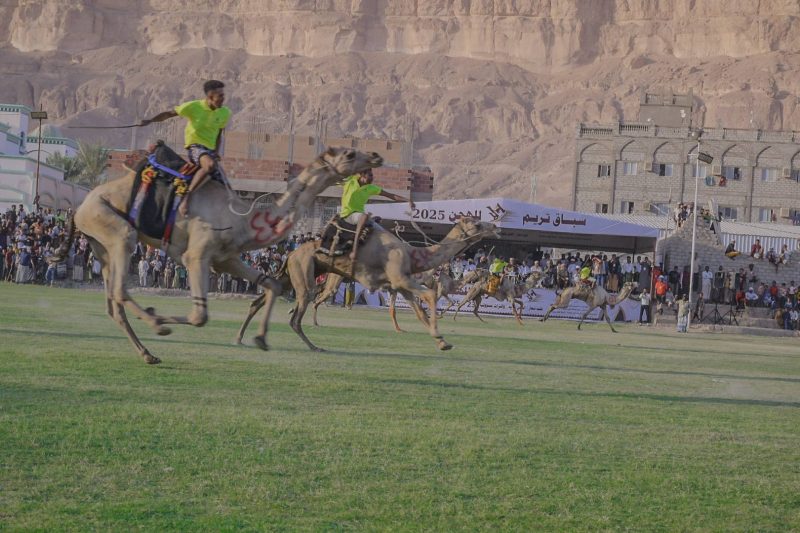 تريم اختتام فعاليات سباق الهجن بمشاركة 100 متسابق
