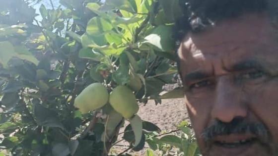 منصور الصبيحي مزارع كرش لحج