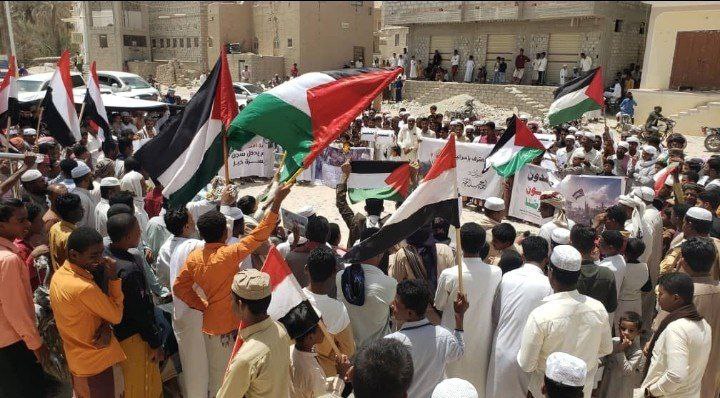 المئات من أهالي مديرية تريم حضرموت ينظمون وقفة تضامنية مع غزة 