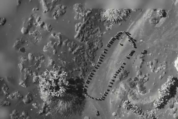 الحوثيون يقرون بمقتل وإصابة العشرات في قصف أمريكي جنوبي الحديدة