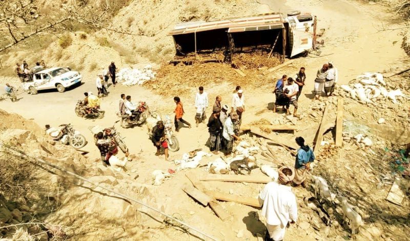 لحج.. نفوق العشرات من الأغنام جراء انقلاب شاحنة في طريق القبيطة