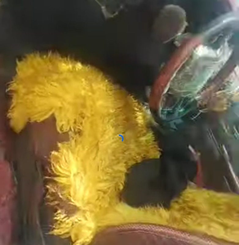 شبوة.. العثور على جثمان مواطن قتيلا بظروف وملابسات غامضة (صورة)