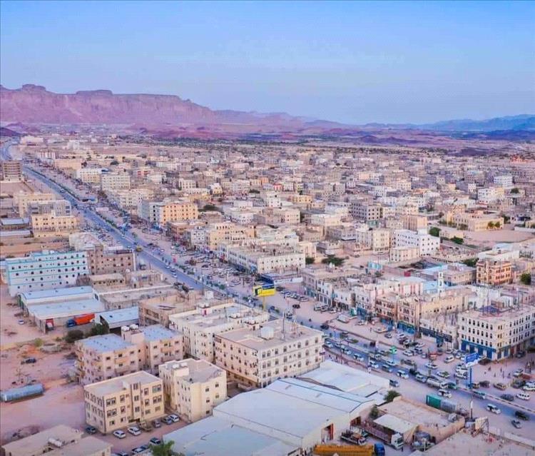 شبوة: هجوم للكلاب الضالة يودي بحياة 52 رأس غنم