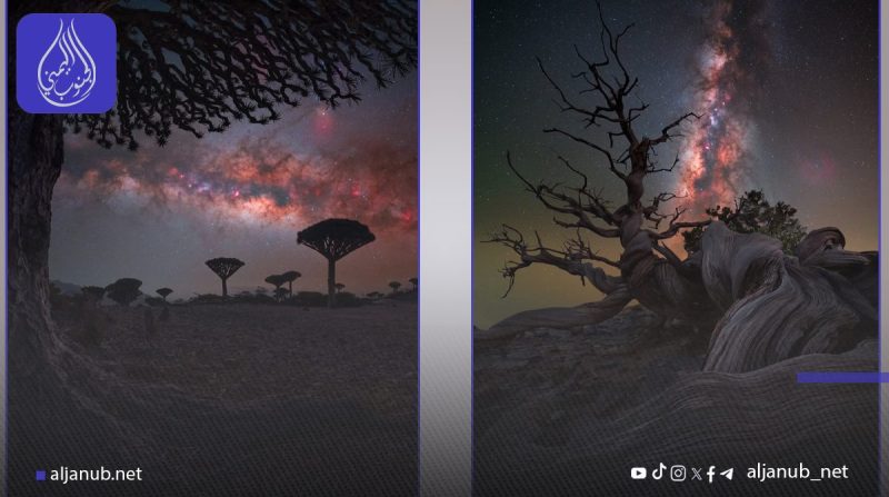 جزيرة سقطرى تتصدر قائمة المرشحين للقب “مصور درب التبانة لعام 2025” رغم الانتهاكات الإماراتية