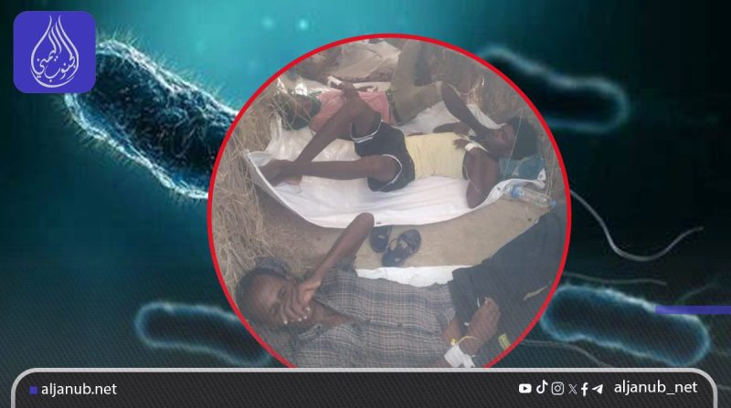 وفيات بسبب تفشي الكوليرا في صفوف المهاجرين الأفارقة بمديرية أحور بأبين..