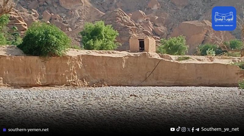 شبوة…أهالي الحوطة في ميفعة يطالبون بحماية أراضيهم الزراعية من انجراف السيول