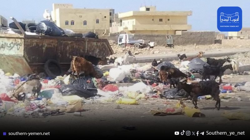 سقطرى تغرق في النفايات والسلطة المحلية تواصل إهمال ملف النظافة والبيئة