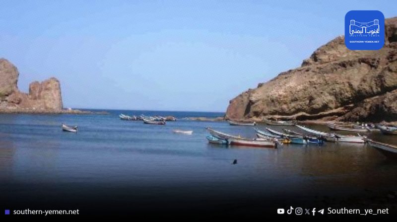 ناشطون: “برايم” الإماراتية وراء الصيد الجائر لأسماك نادرة في سقطرى