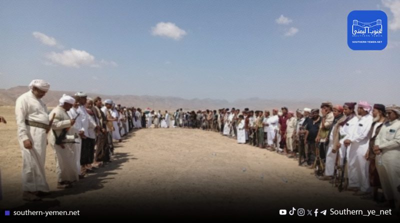 قبيلة بن محامد في المهرة تناقش حكمًا قضائيًا بإعدام 14 من أبنائها وتطالب بمراجعته