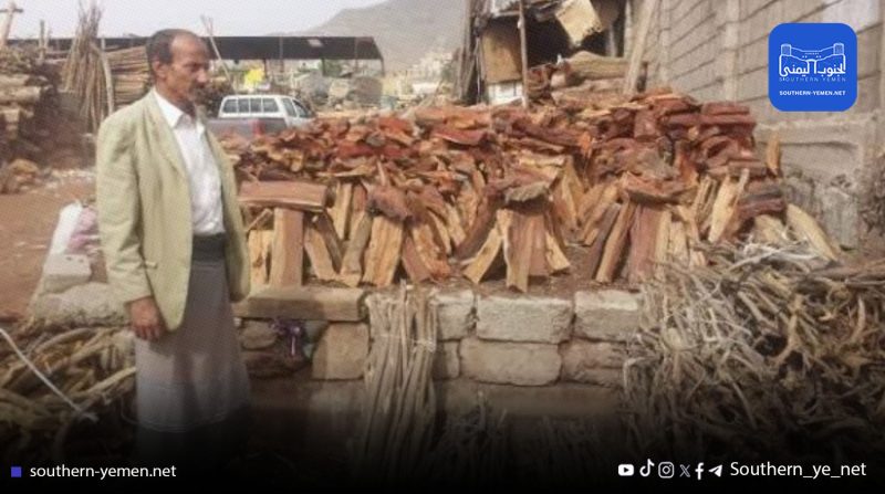 سقطرى: أسطوانة الغاز تصل إلى ٥٠ ألف ريال… والحطب يصبح البديل الأرخص للسكان