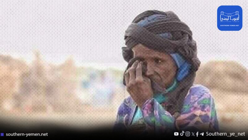 الأمم المتحدة تؤكد نزوح أكثر من ربع مليون نازح في اليمن خلال 3 أشهر