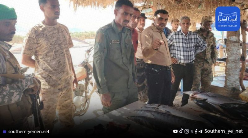 “سقطرى…استمرار حملة التضييق على بائعي الأسماك لصالح شركة إماراتية”