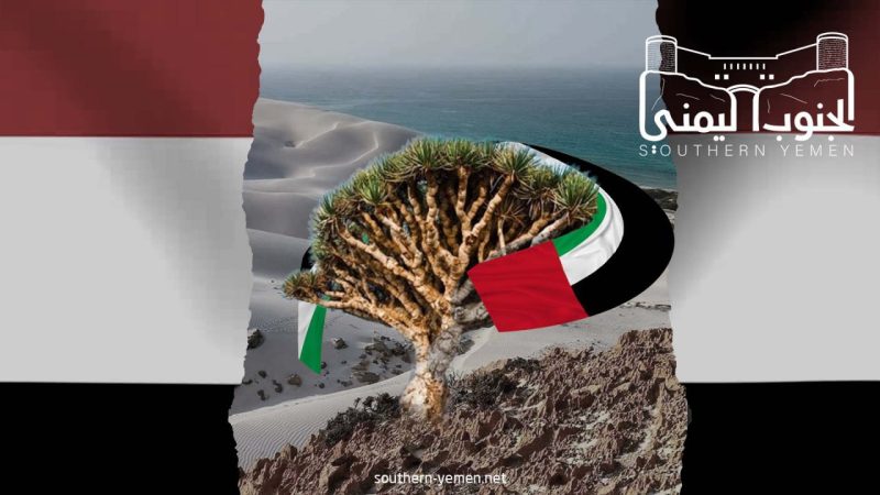 دماء وأشجار وصمت دولي… القصة الكاملة لجريمة إبادة البيئة في سقطرى!