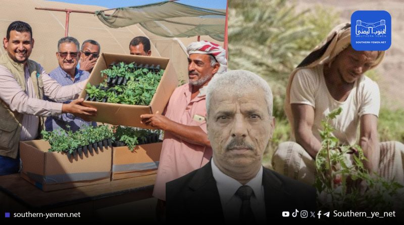 بين أرقام محافظ لحج وواقع المزارعين… فجوة لا ترويها الـ150 مليون دولار