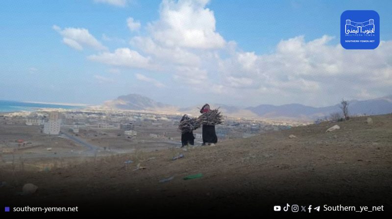 هيمنة إماراتية تثقل أهالي سقطرى… تفاقم الفقر والغلاء يعمق الأزمة المعيشية