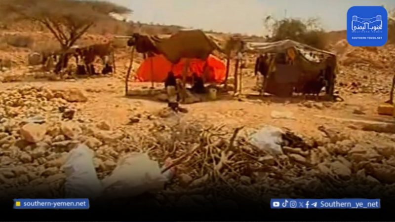 حلف قبائل حضرموت ينفي مزاعم الانتقالي ويتهمه بتضليل الرأي العام