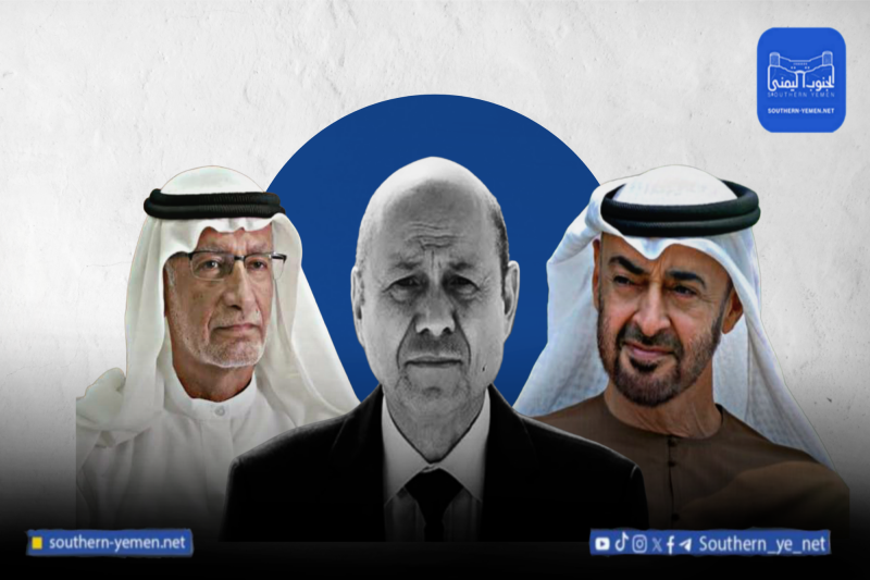 مستشار بن زايد يهاجم العليمي علنا ويشكك بشرعية مجلس القيادة