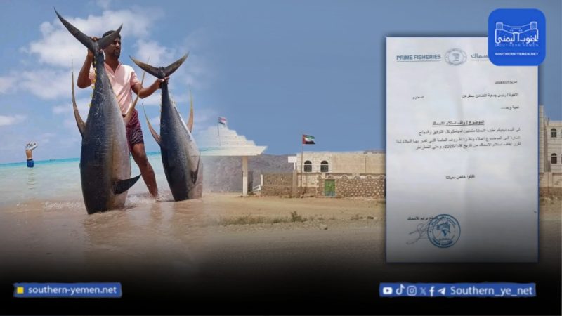 شباك ممتلئة وأيدٍ فارغة..هل بدأت الشركات الإماراتية الانسحاب من سقطرى؟