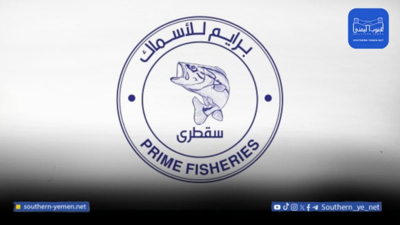 بعد إلغاء اتفاقية الدفاع.. شركات إماراتية تواصل العمل في سقطرى