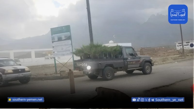 تحذيرات بيئية من خطر الأشجار الدخيلة في سقطرى ومطالبات بإتلافها