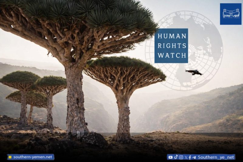 هيومن رايتس ووتش تدين اعتقال محققي حقوق الإنسان في سقطرى