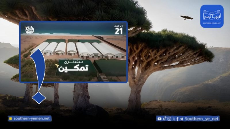 جدل في سقطرى بعد إعادة تسويق شركة “برايم” عبر برنامج إماراتي